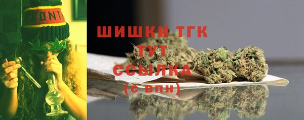 амф Елабуга