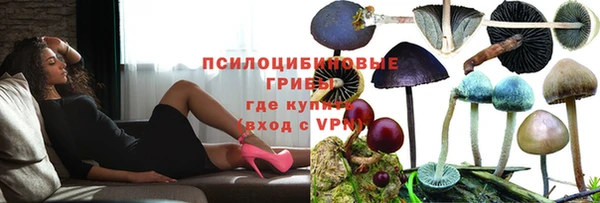 амф Елабуга