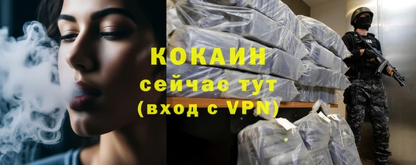 PSILOCYBIN Козельск