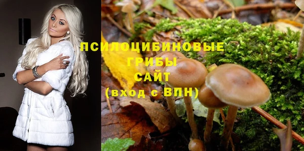 амф Елабуга