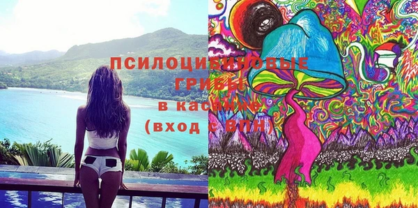 амф Елабуга