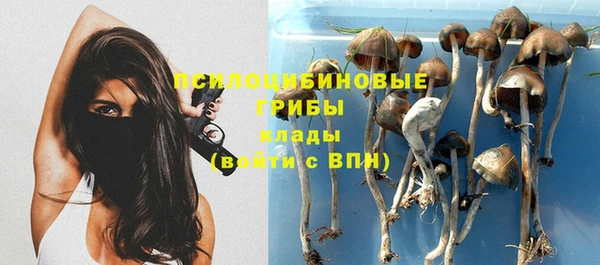 прущая мука Покров