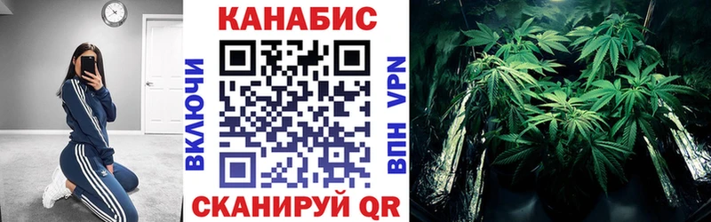 Канабис SATIVA & INDICA  Горбатов 